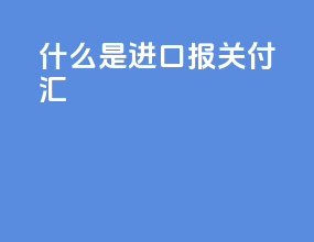 什么是进口报关付汇