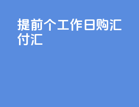 提前5个工作日购汇付汇