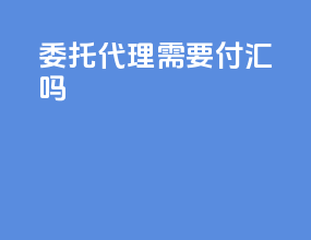 委托代理需要付汇吗