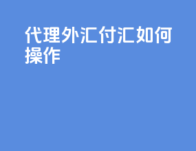 代理外汇付汇如何操作