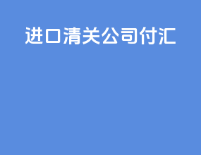 进口清关公司付汇