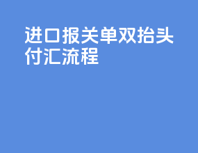 进口报关单双抬头付汇流程