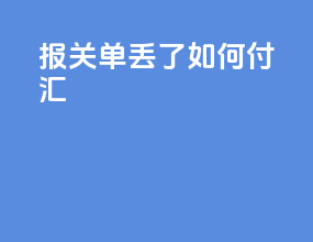 报关单丢了如何付汇