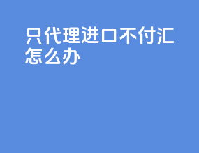 只代理进口不付汇怎么办