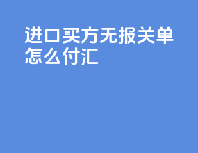 进口ddp买方无报关单怎么付汇