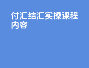 付汇结汇实操课程内容