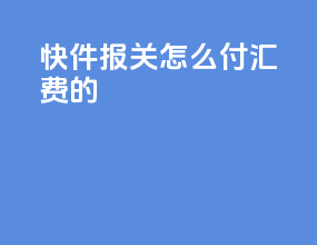 快件报关怎么付汇费的
