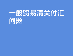 一般贸易清关 付汇问题