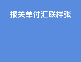 报关单付汇联样张
