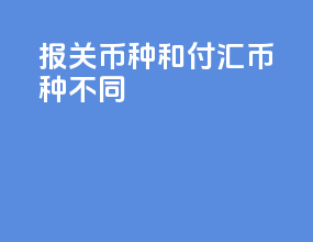 报关币种和付汇币种不同