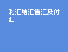 购汇 结汇 售汇及付汇