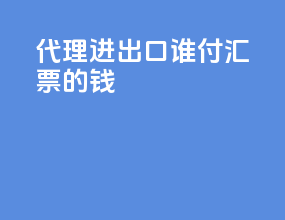 代理进出口谁付汇票的钱