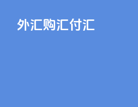 外汇购汇付汇
