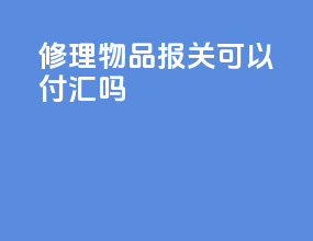 修理物品报关可以付汇吗