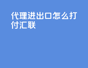 代理进出口怎么打付汇联