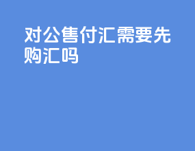 对公售付汇需要先购汇吗