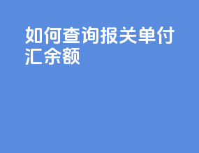 如何查询报关单付汇余额