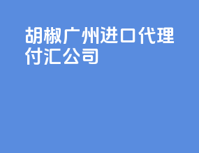 胡椒广州进口代理付汇公司