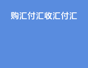 购汇付汇收汇付汇