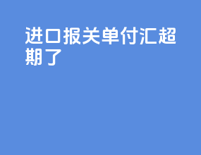 进口报关单付汇超期了