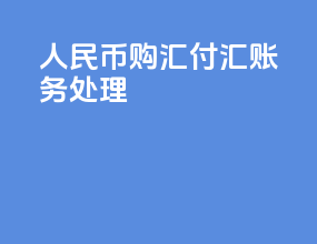 人民币购汇付汇账务处理