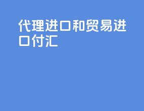 代理进口和贸易进口付汇