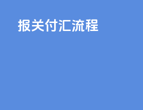 报关付汇流程