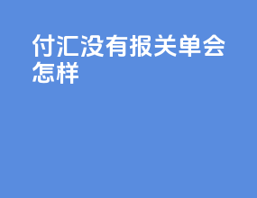 付汇没有报关单会怎样