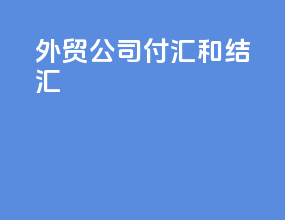外贸公司付汇和结汇