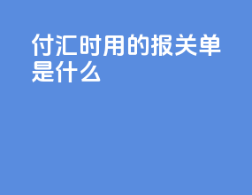 付汇时用的报关单是什么