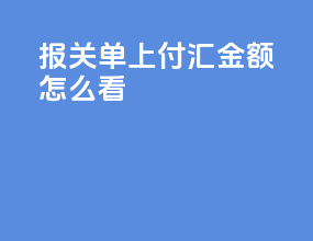 报关单上付汇金额怎么看