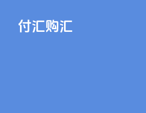 付汇购汇
