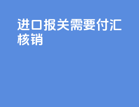 进口报关需要付汇核销