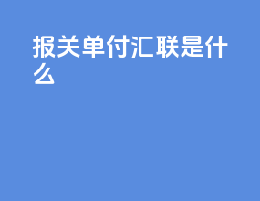 报关单付汇联是什么