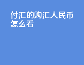 付汇的购汇人民币怎么看