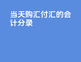 当天购汇付汇的会计分录