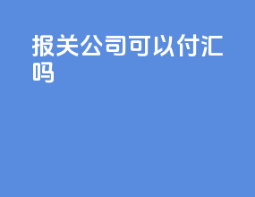 报关公司可以付汇吗