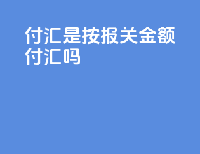 CFR付汇是按报关金额付汇吗