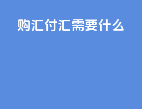 购汇付汇需要什么