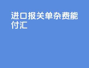 进口报关单杂费能付汇