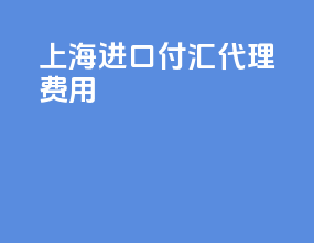 上海进口付汇代理费用