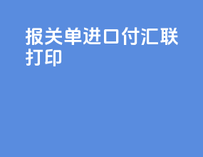 报关单进口付汇联打印