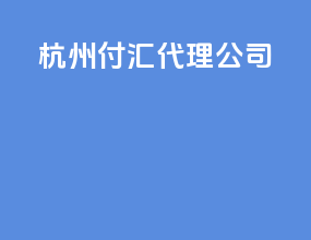 杭州付汇 代理公司