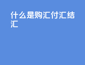 什么是购汇付汇结汇