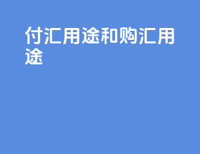 付汇用途和购汇用途