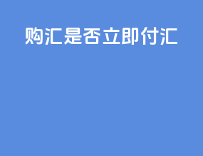 购汇是否立即付汇