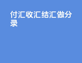 付汇收汇结汇做分录