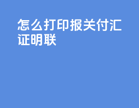 怎么打印报关付汇证明联