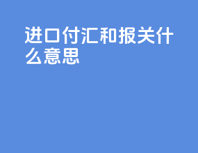 进口付汇和报关什么意思