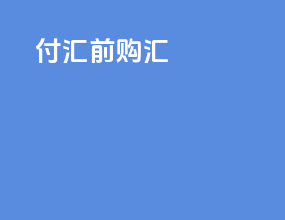 付汇前购汇
